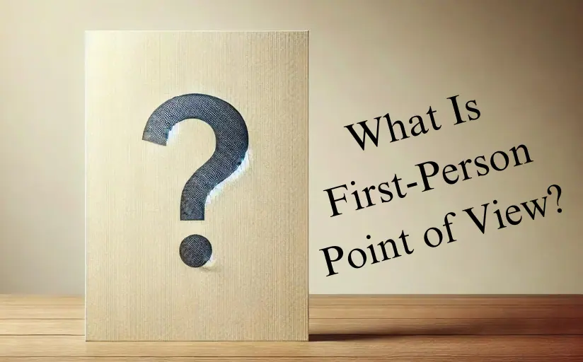 What is first person point of view