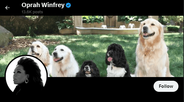 Oprah twitter banner size screenshot