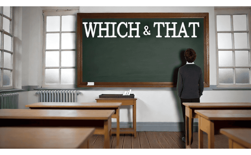 A person stares at a chalkboard with the words which and that.